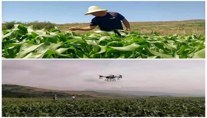 桦林镇 以人大代表履职为纽带，以文化经纪人服务为桥梁，深化与人民群众的血肉联系